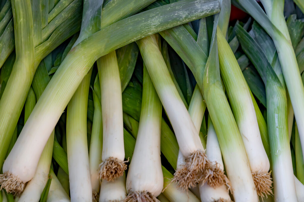 Leek